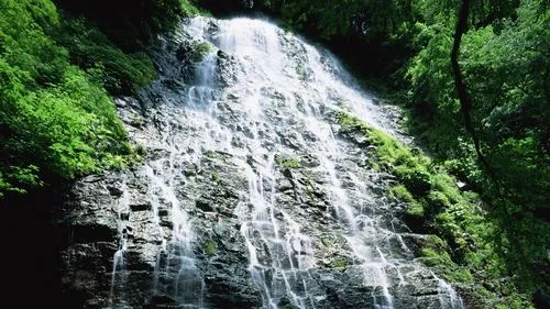可靠性可靠性